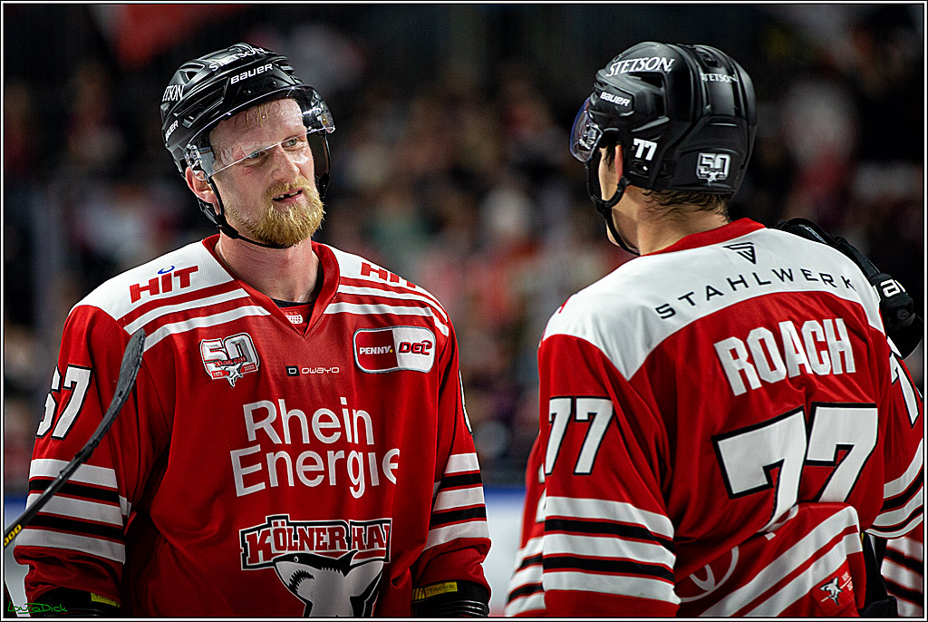 PENNY DEL; Koelner Haie- Loewen Frankfurt; Koeln, 01.12.2022